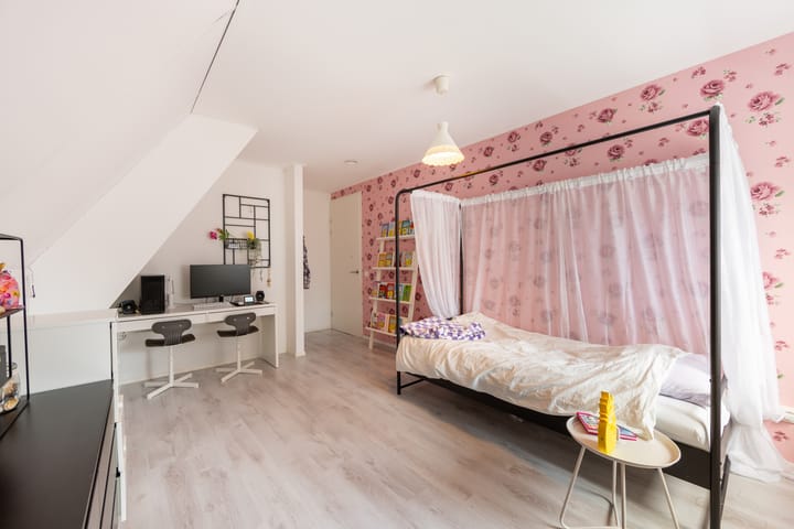 Photo 31 of It Ferset 45