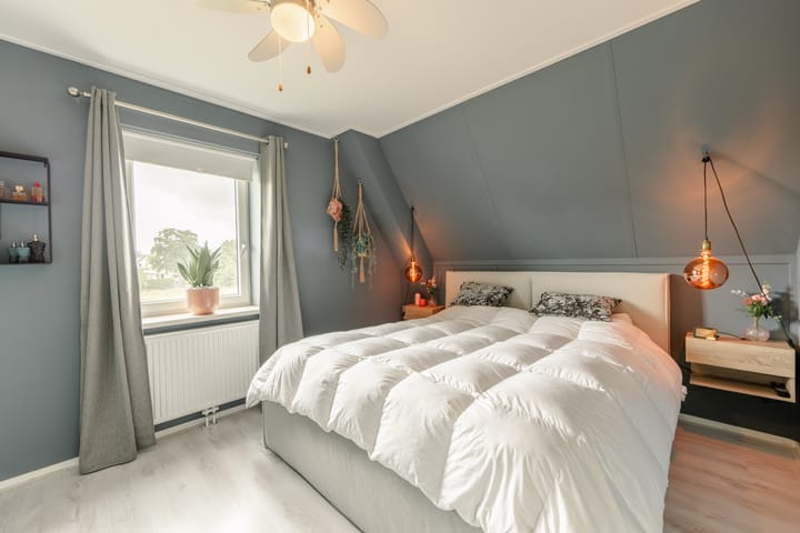 Photo 33 of It Ferset 45