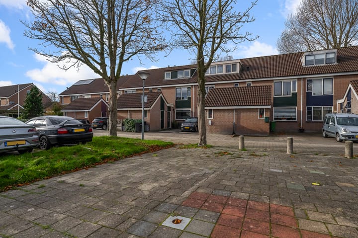 Foto 30 van Zuiderland 10