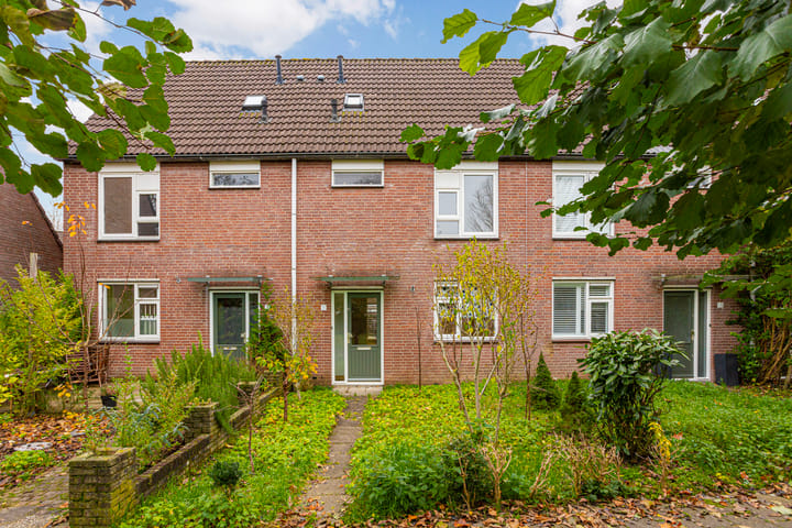 Foto 1 van Marmotweide 11