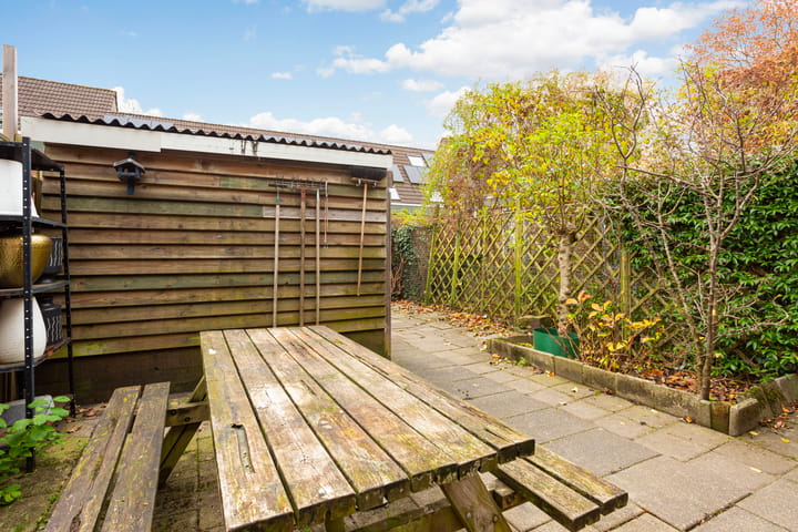 Foto 12 van Marmotweide 11