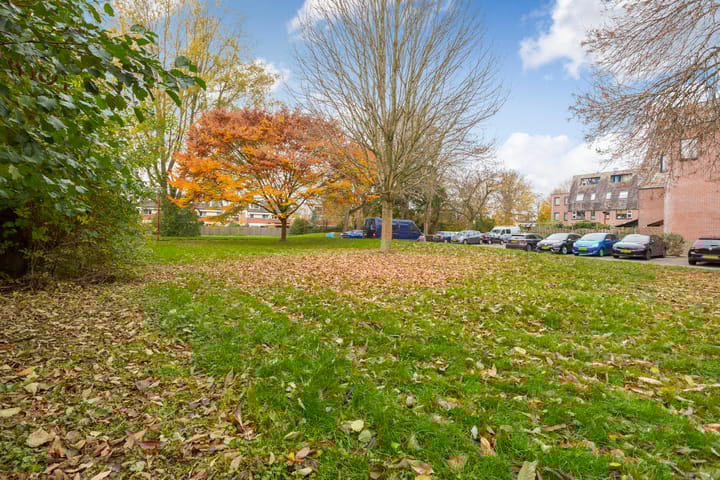 Foto 34 van Marmotweide 11