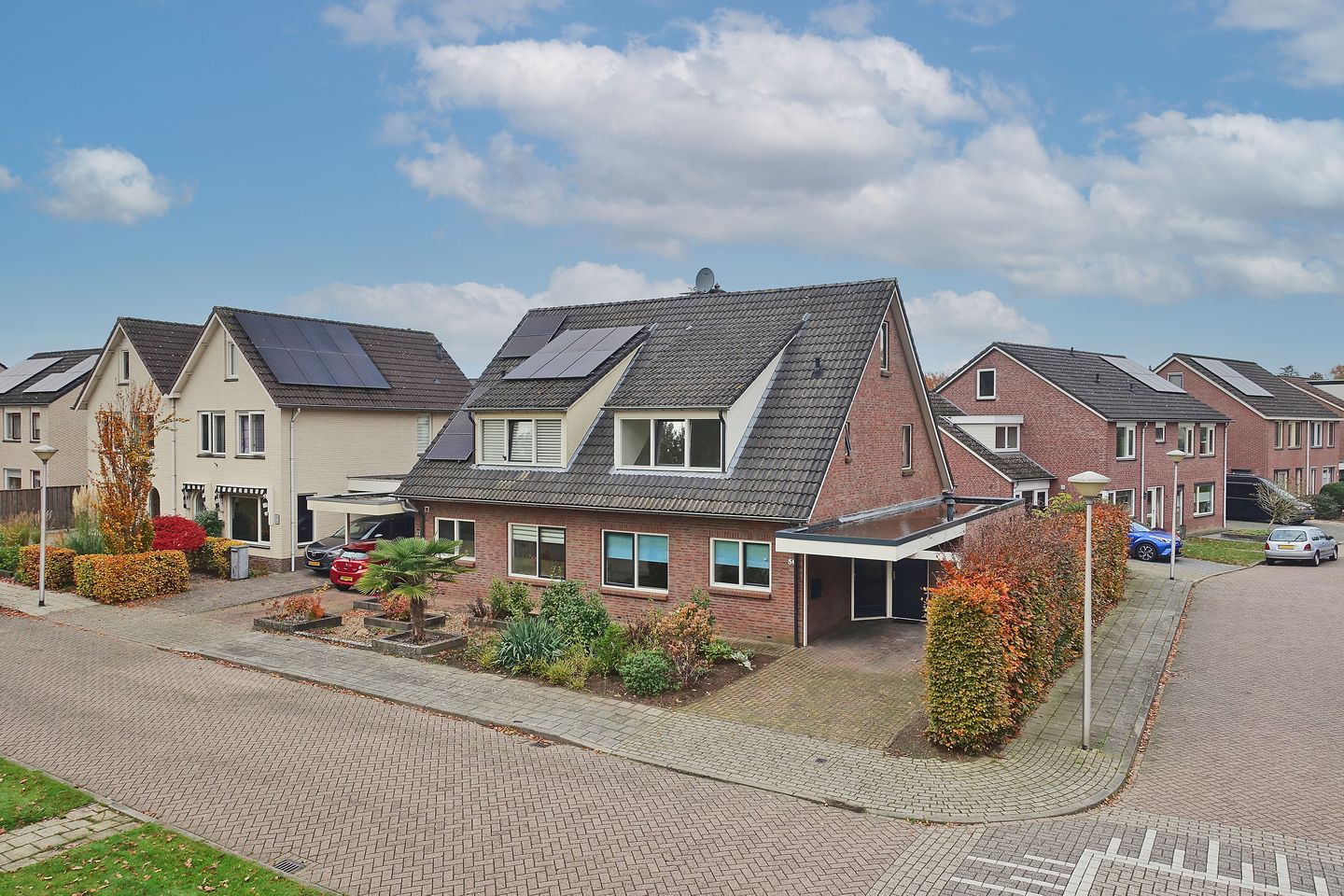 Foto 5 van Sleutelbloem 56