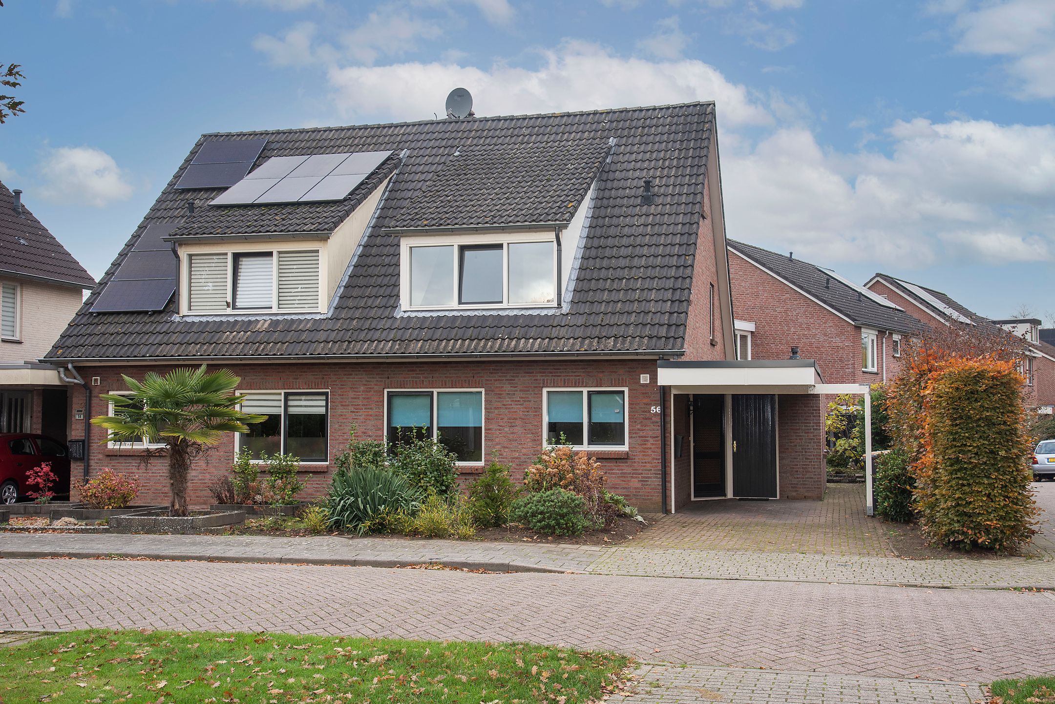 Foto 6 van Sleutelbloem 56