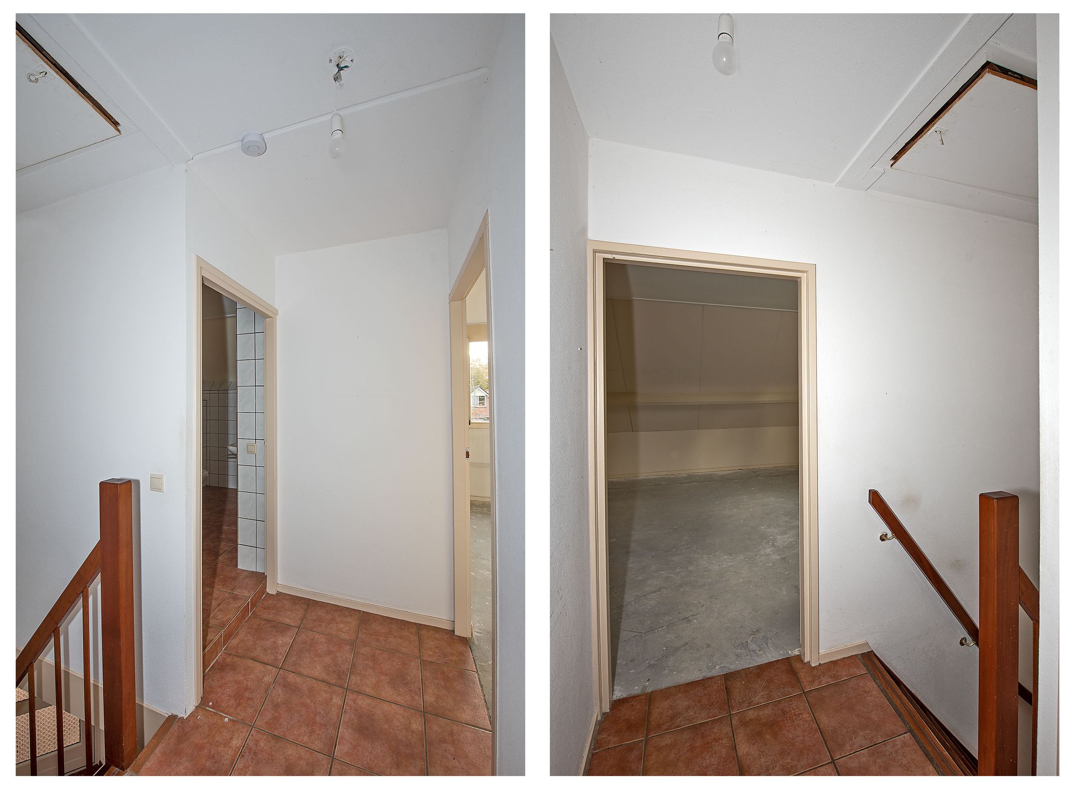 Foto 15 van Sleutelbloem 56