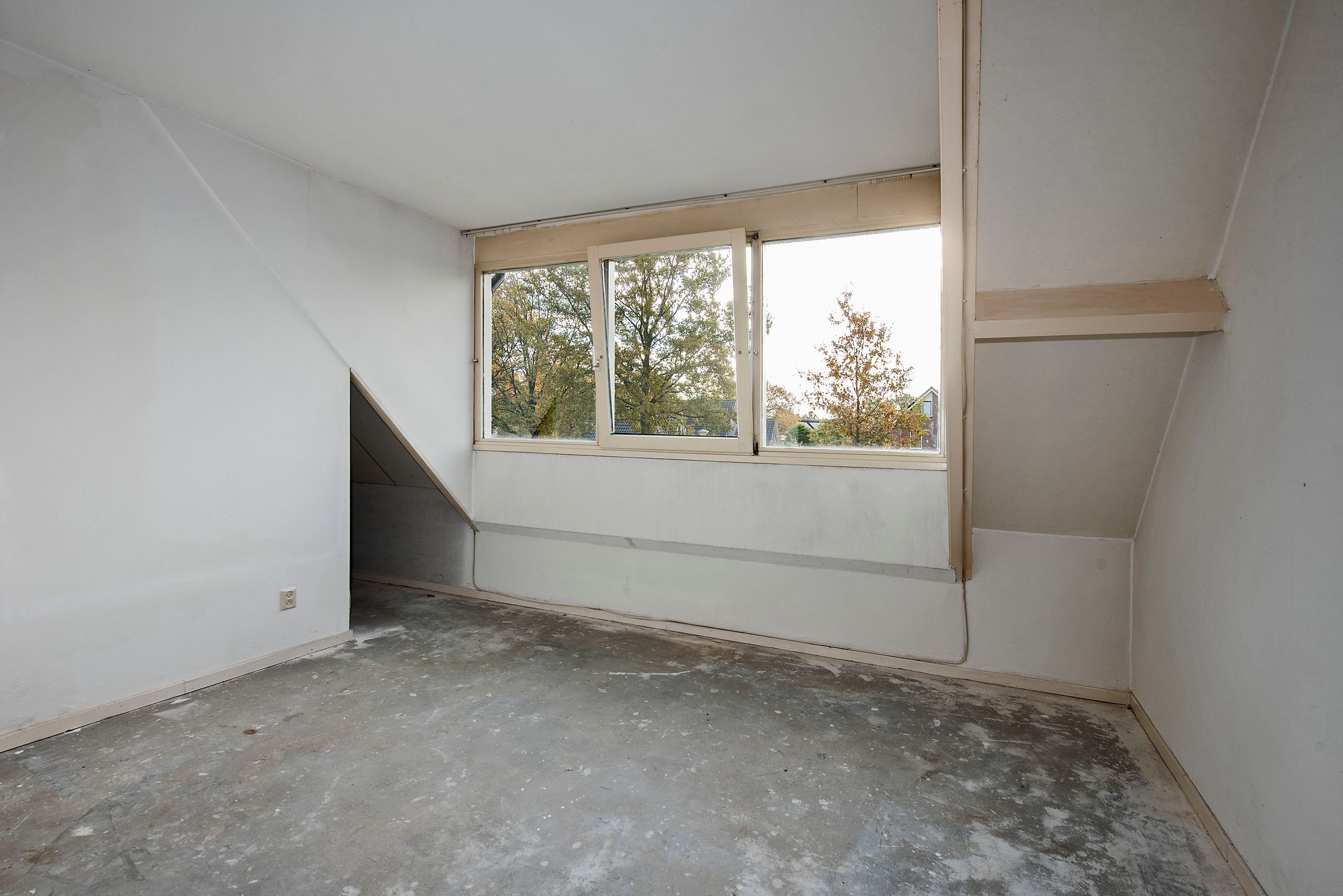 Foto 18 van Sleutelbloem 56