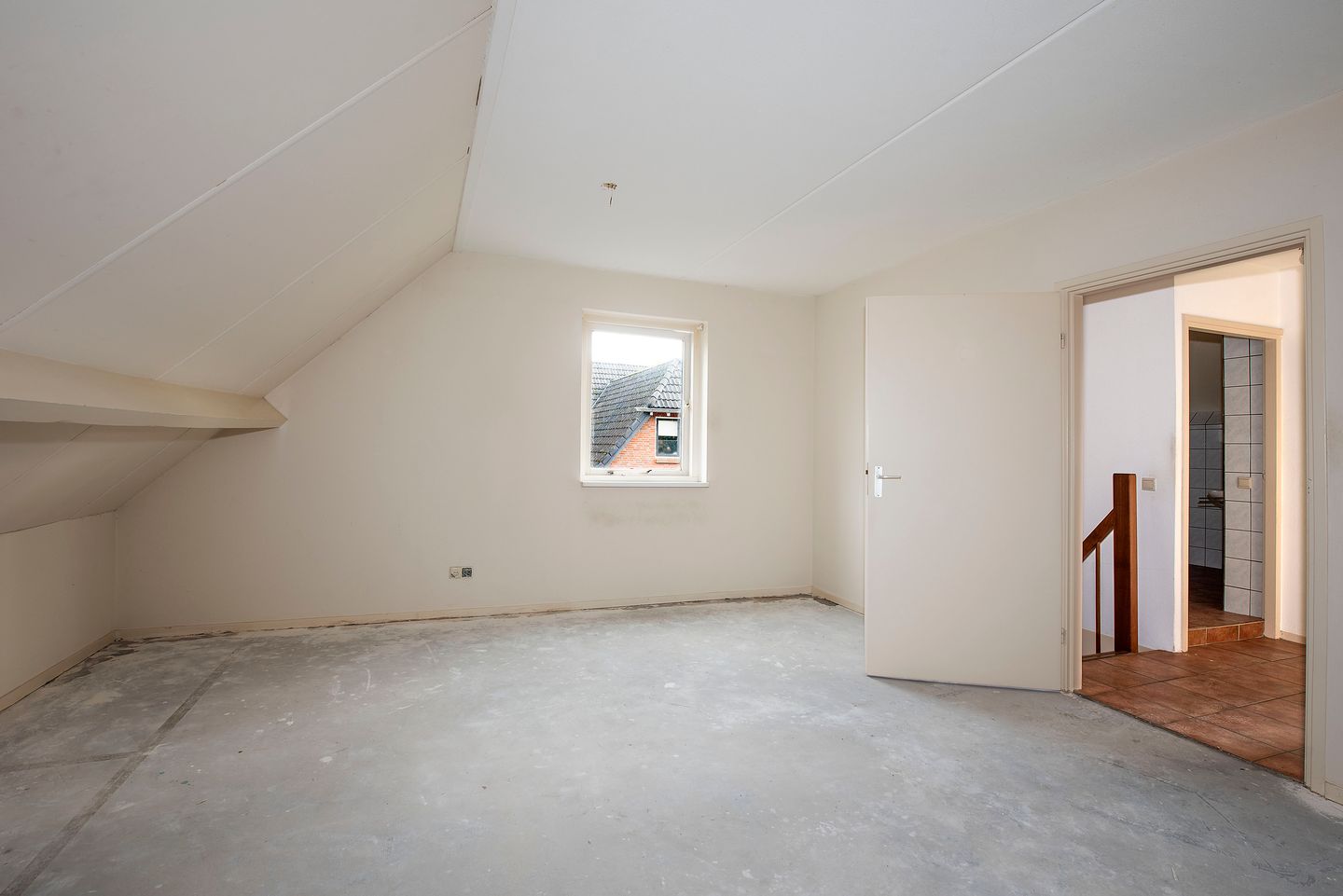 Foto 20 van Sleutelbloem 56