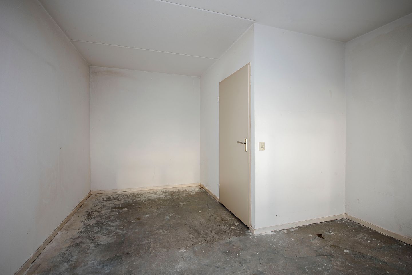 Foto 19 van Sleutelbloem 56