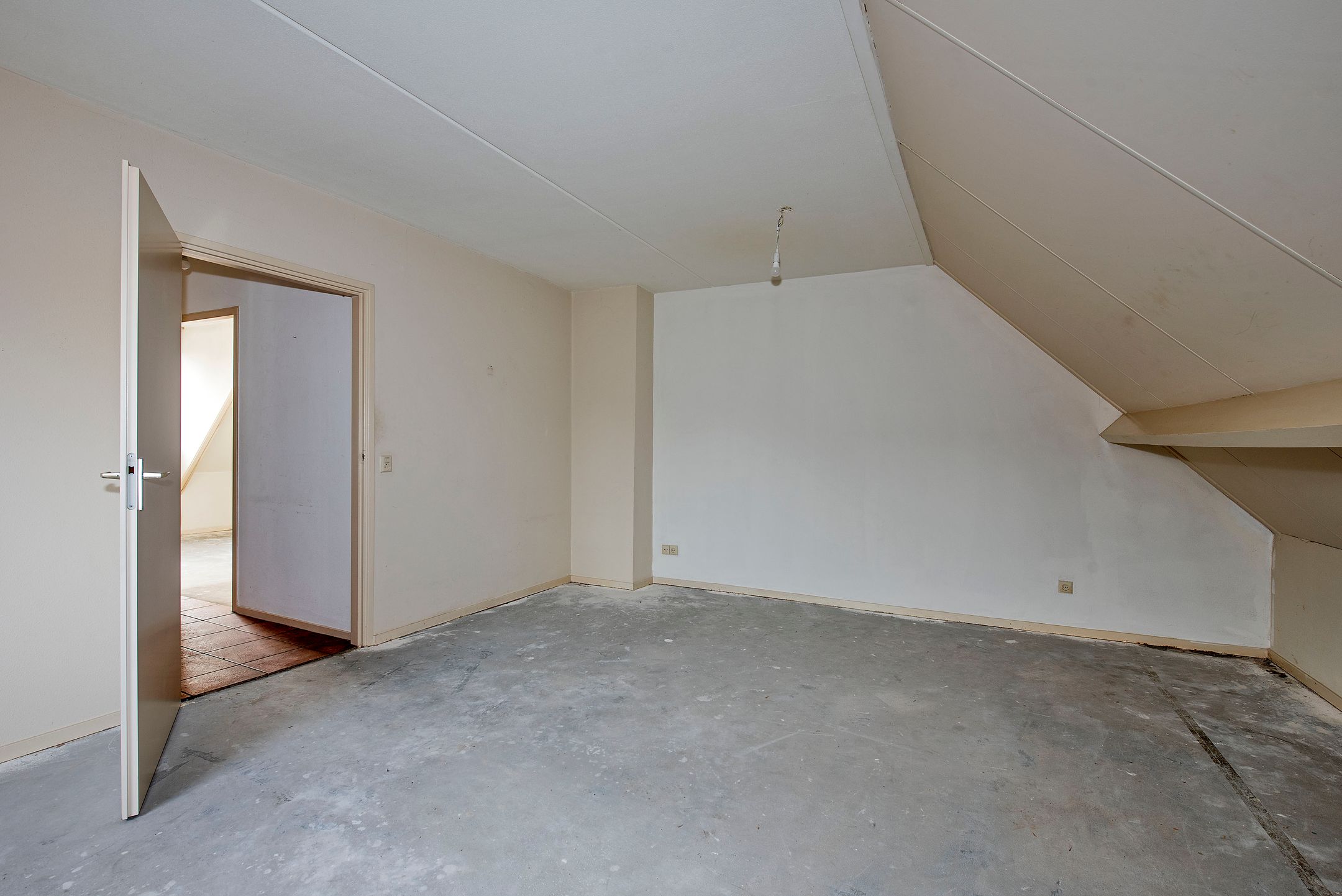 Foto 21 van Sleutelbloem 56