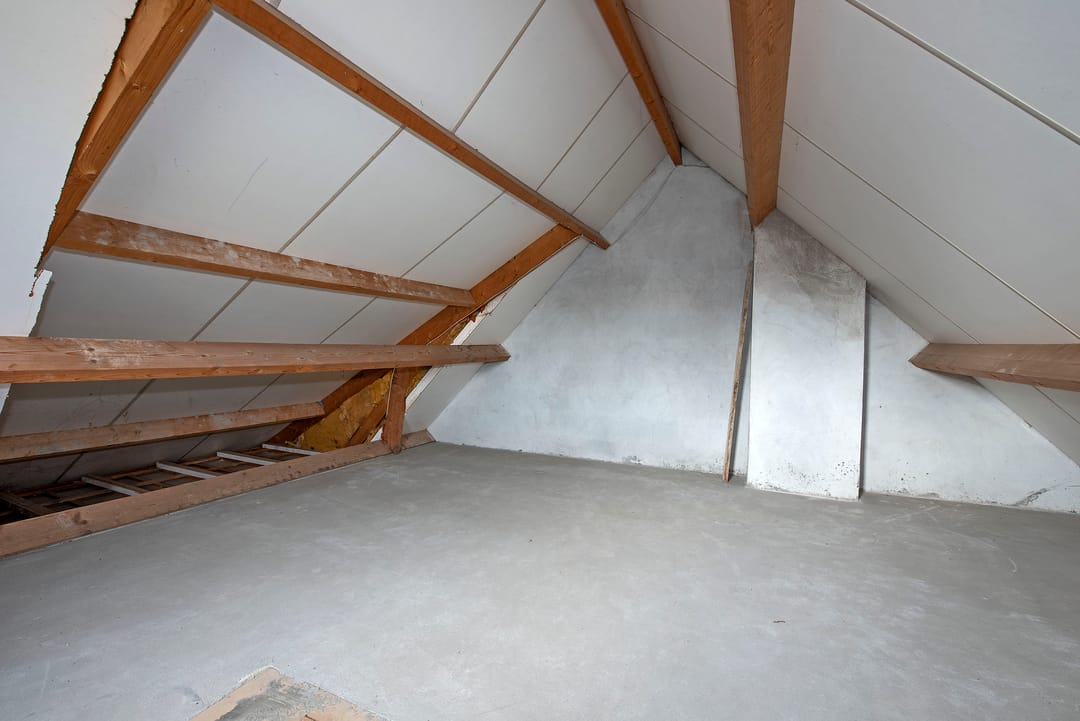 Foto 23 van Sleutelbloem 56