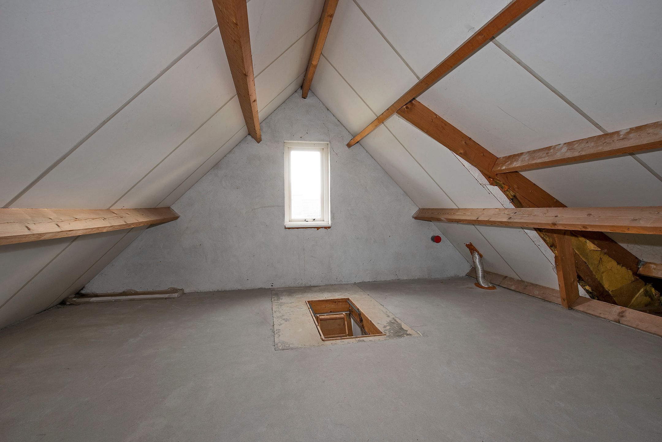 Foto 24 van Sleutelbloem 56