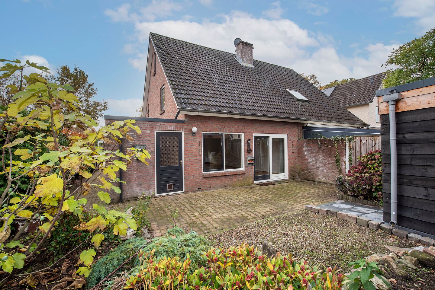 Foto 25 van Sleutelbloem 56