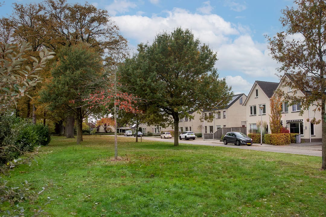 Foto 28 van Sleutelbloem 56