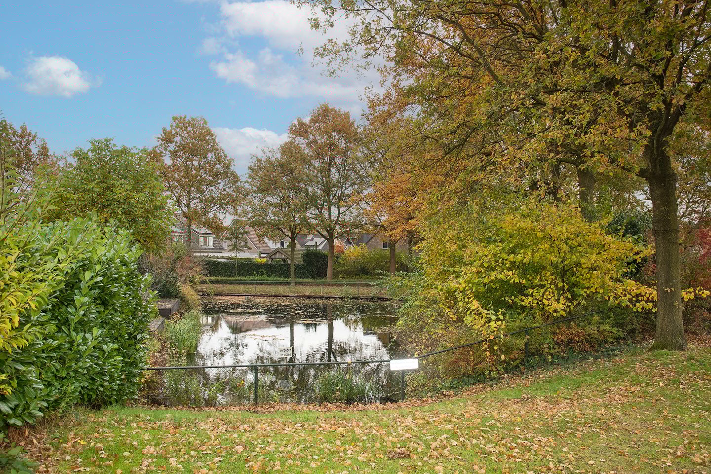 Foto 29 van Sleutelbloem 56