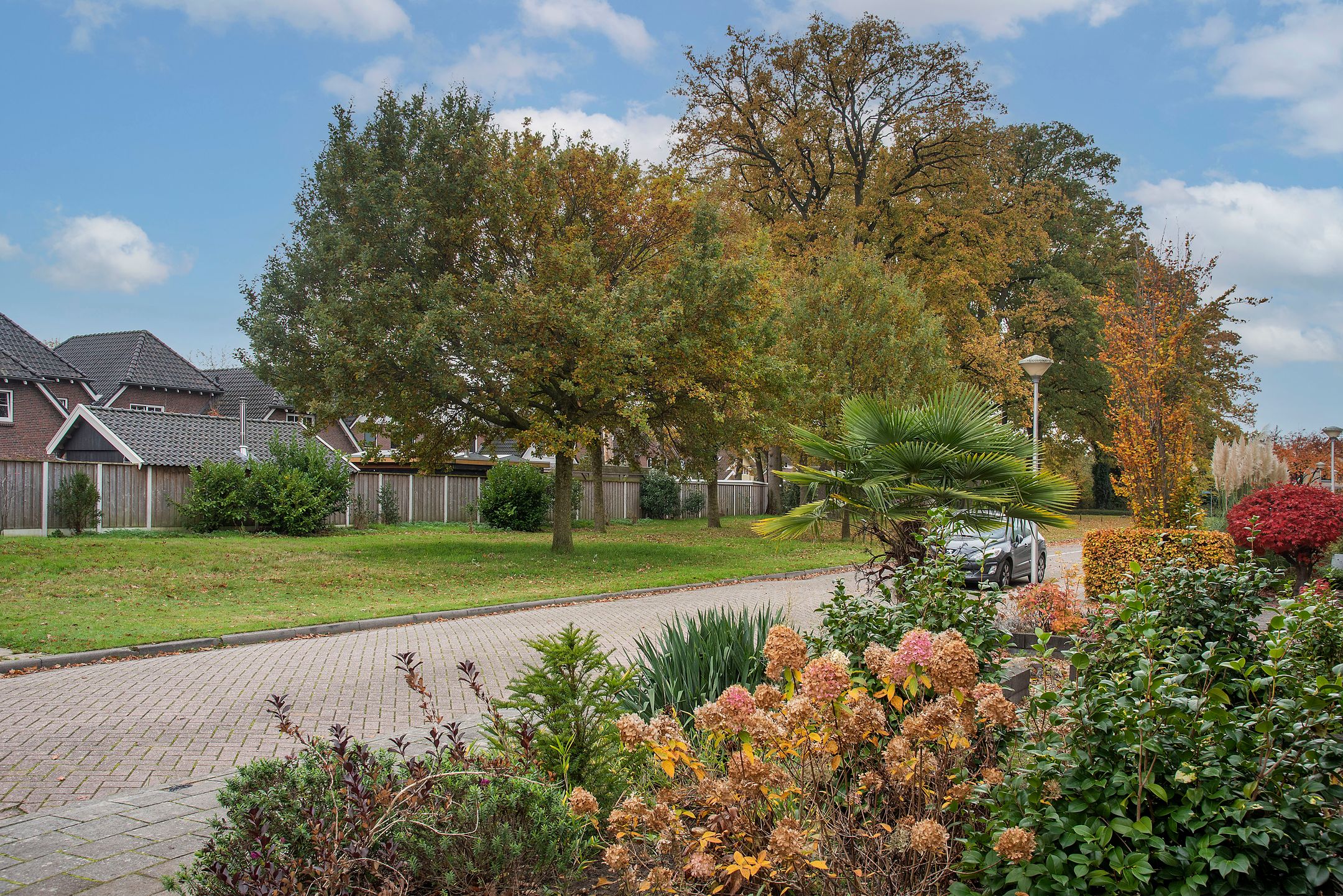 Foto 30 van Sleutelbloem 56