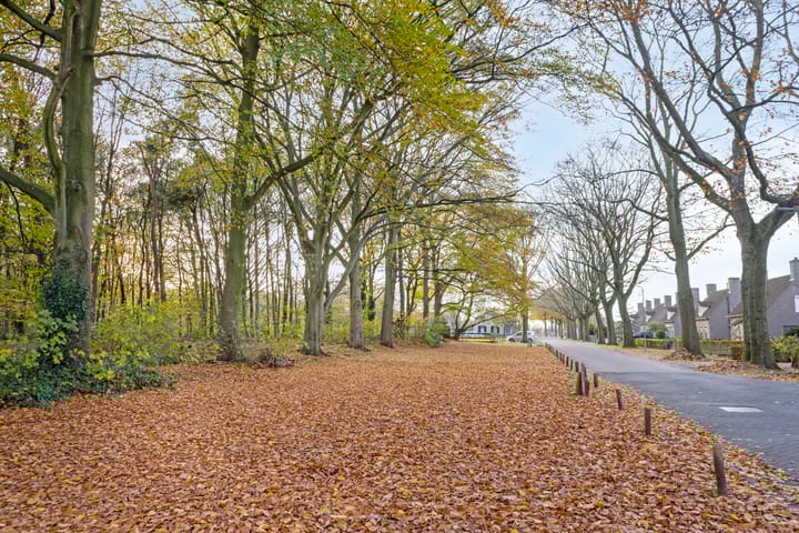 Photo 53 of Gruttostraat 15