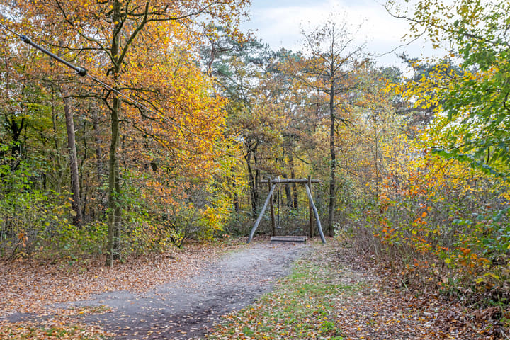 Photo 55 of Gruttostraat 15