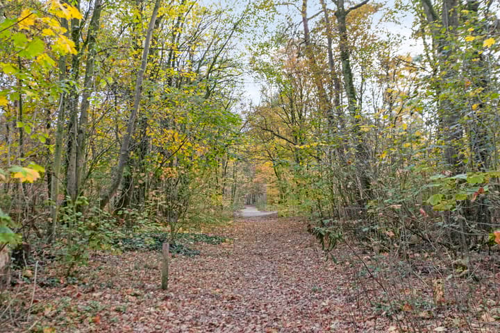 Photo 54 of Gruttostraat 15