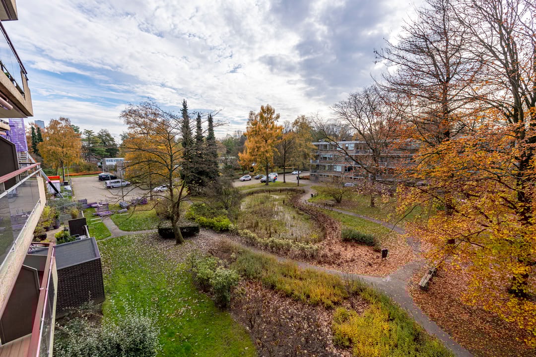 Foto 13 van Professor Cobbenhagenlaan 716