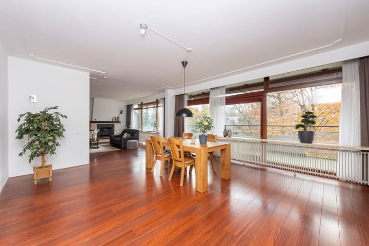 Foto 16 van Professor Cobbenhagenlaan 716