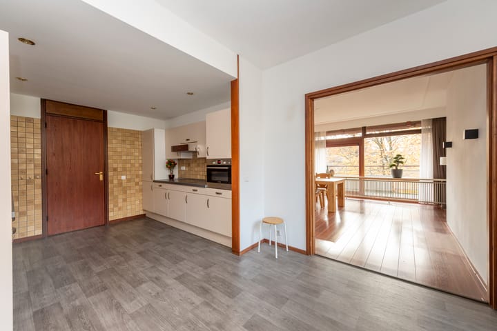 Foto 18 van Professor Cobbenhagenlaan 716