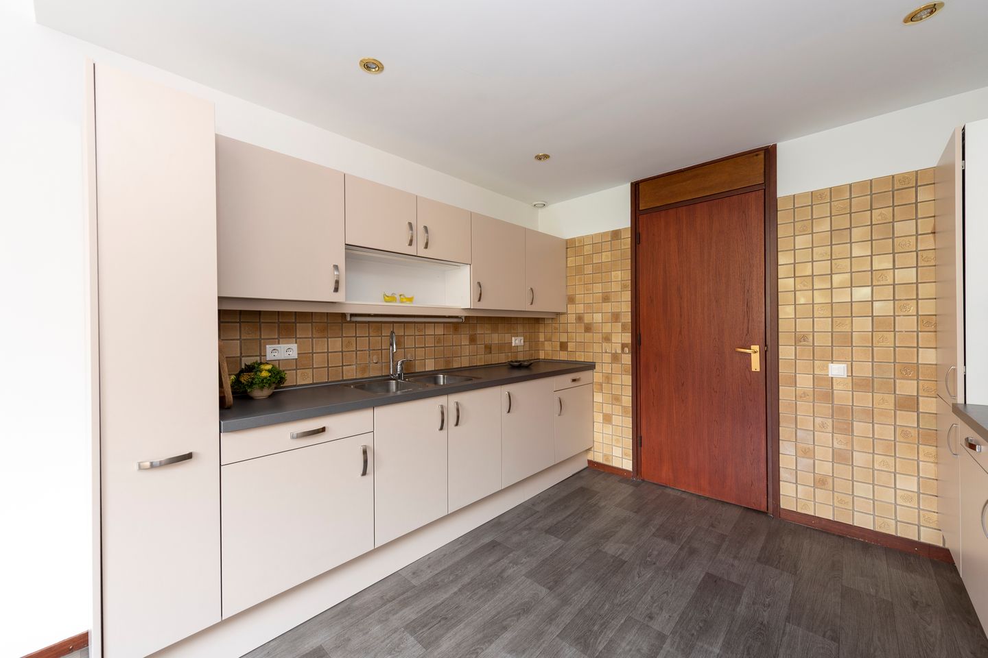 Foto 19 van Professor Cobbenhagenlaan 716