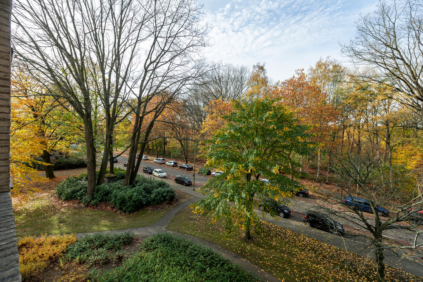 Foto 34 van Professor Cobbenhagenlaan 716