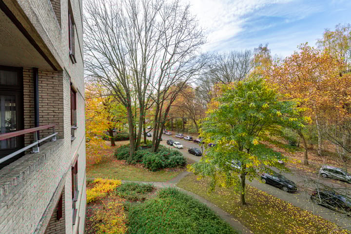 Foto 27 van Professor Cobbenhagenlaan 716