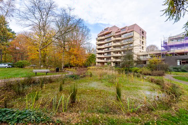 Foto 44 van Professor Cobbenhagenlaan 716