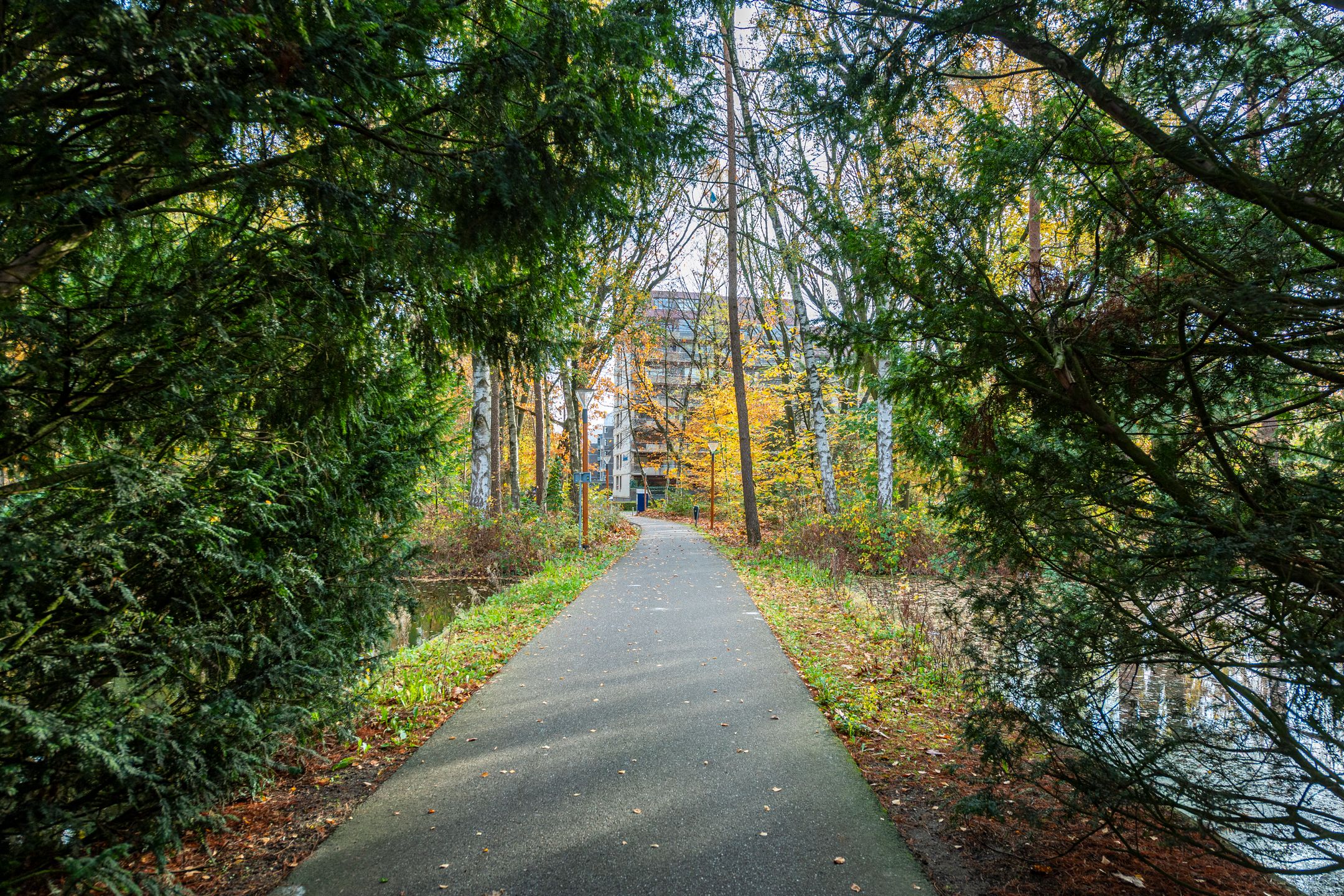 Foto 45 van Professor Cobbenhagenlaan 716