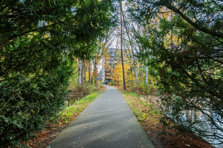 Foto 45 van Professor Cobbenhagenlaan 716