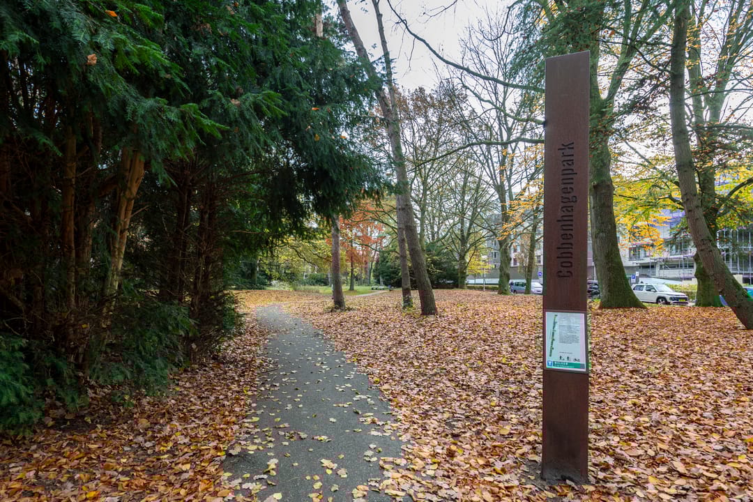 Foto 46 van Professor Cobbenhagenlaan 716