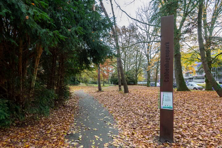 Foto 46 van Professor Cobbenhagenlaan 716