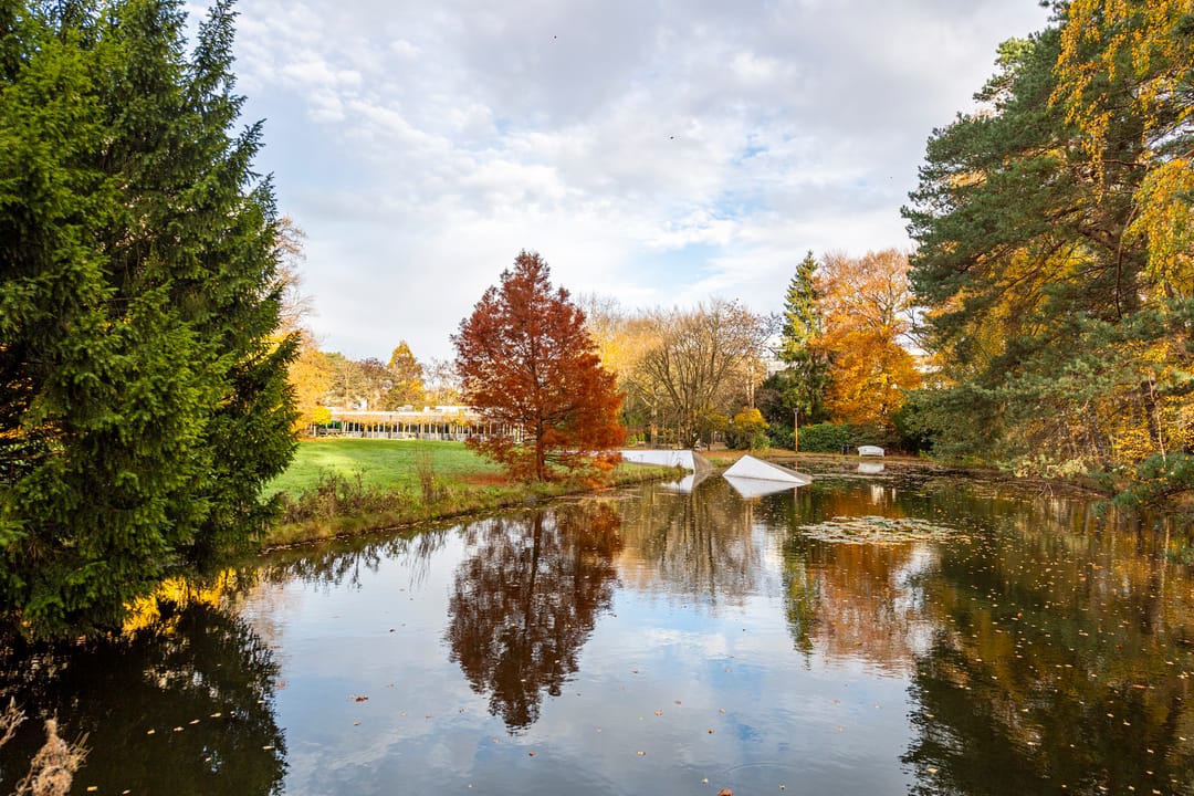 Foto 47 van Professor Cobbenhagenlaan 716