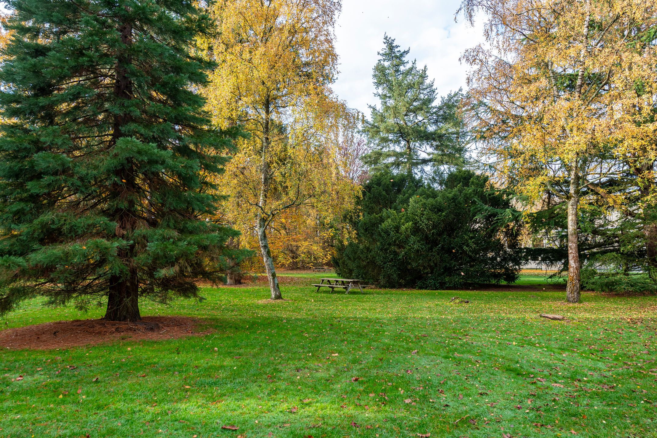 Foto 48 van Professor Cobbenhagenlaan 716