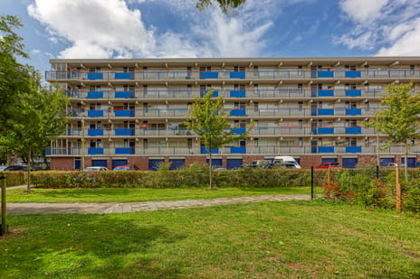 Koekoekstraat thumbnail