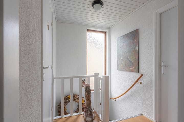 Photo 12 of Buijsroggestraat 11