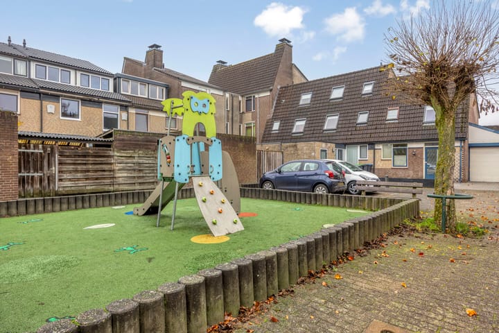 Foto 39 van Hoefbladmeen 25