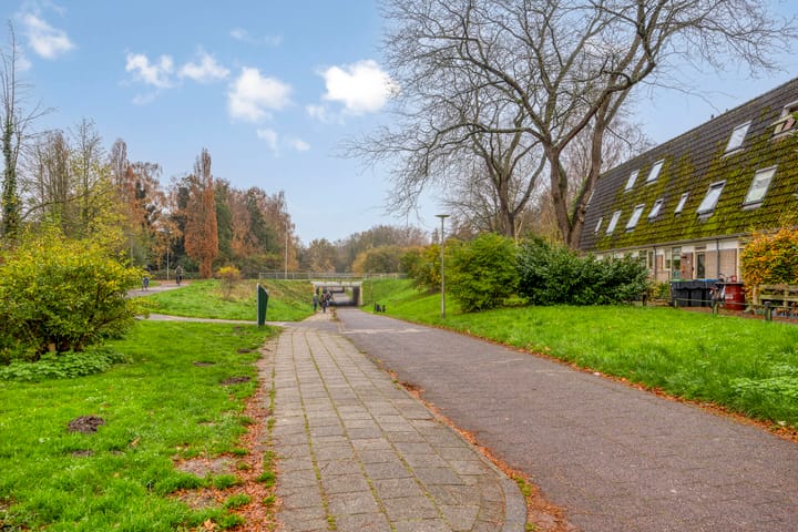 Foto 41 van Hoefbladmeen 25