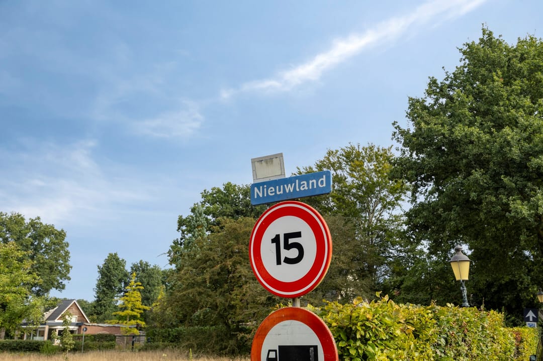 Foto 41 van Nieuwland 12