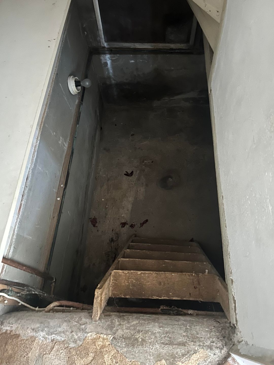 Foto 13 van van Harinxmastraat 20