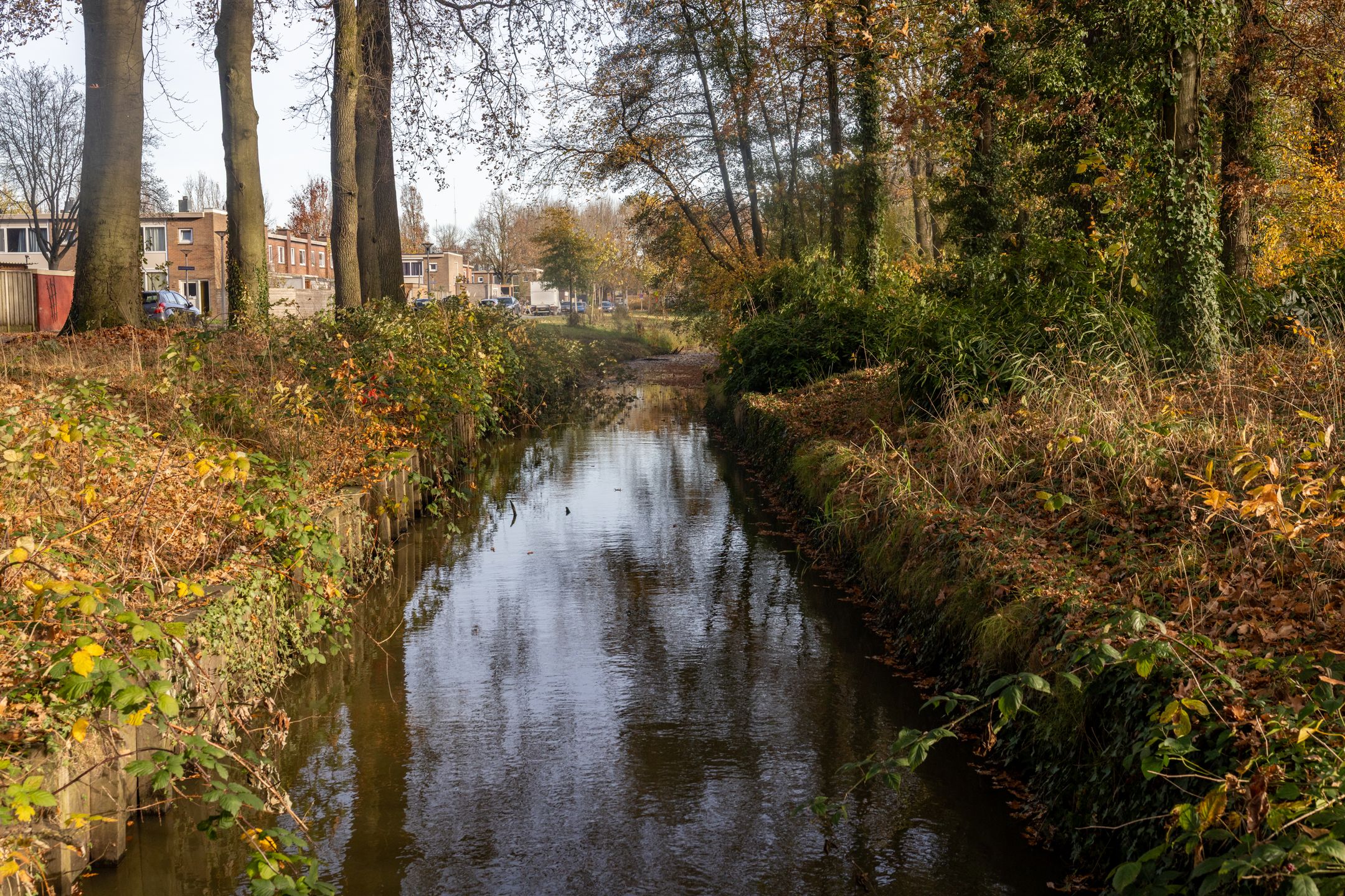 Photo 42 of Nederlandlaan 99