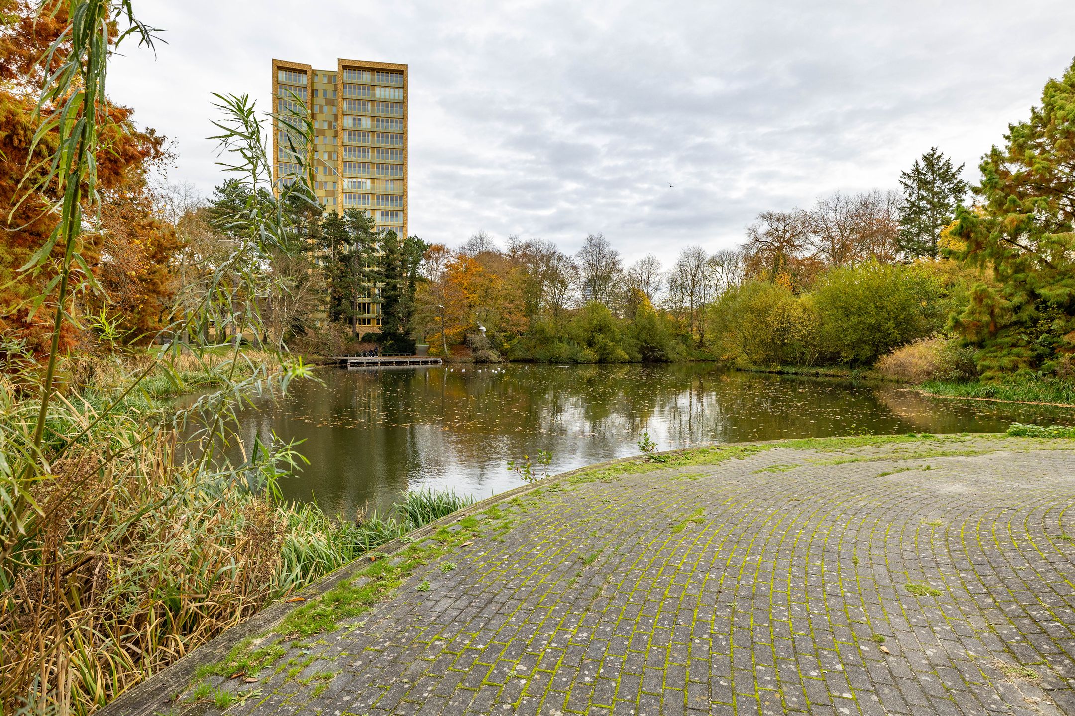 Photo 36 of Berkelstraat 20-B
