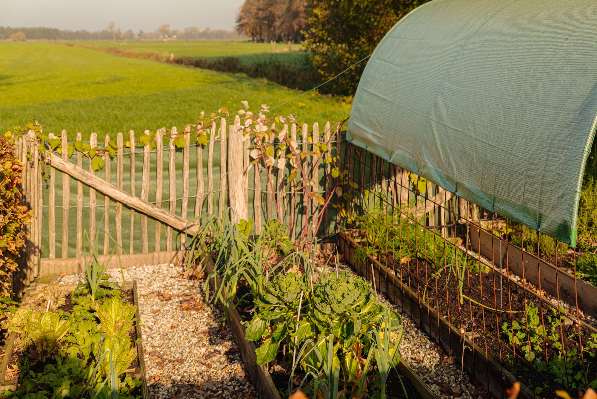 Foto 57 van Nieuw-Loosdrechtsedijk 168