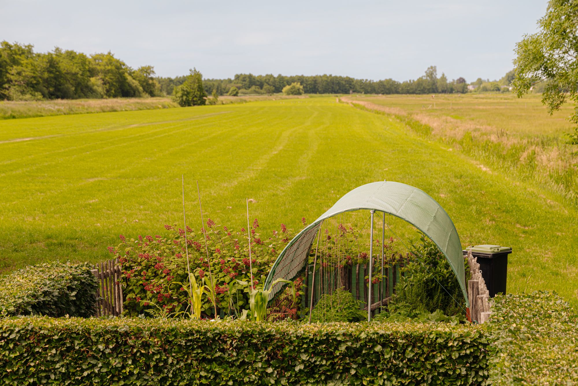 Foto 81 van Nieuw-Loosdrechtsedijk 168