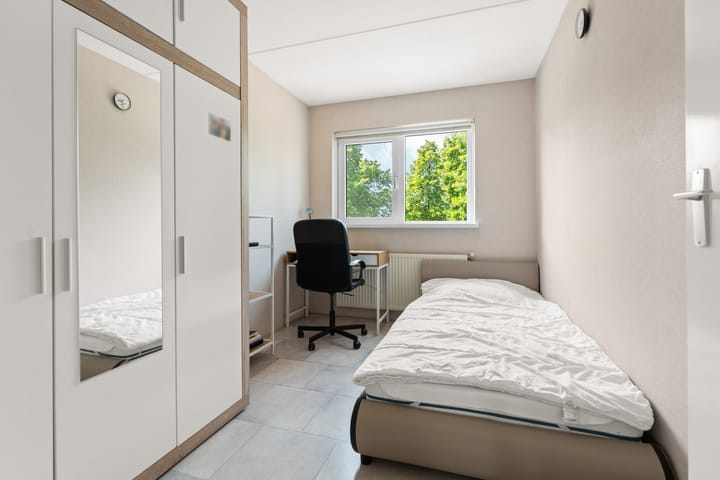 Photo 21 of Leonard Springerlaan 212