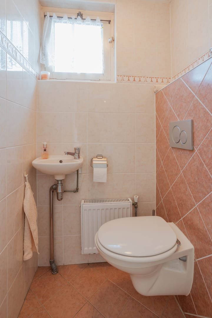 Foto 10 van Frans Hanegraafstraat 57