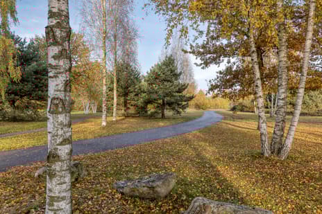 Grasperk 8 secondary image