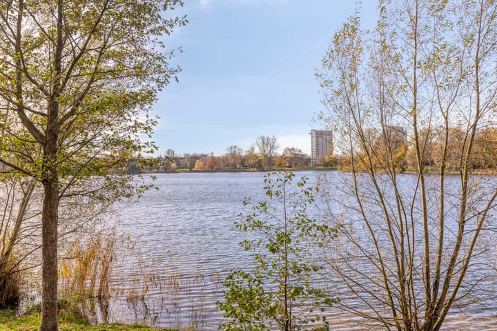 Foto 35 van Esdoornstraat 42