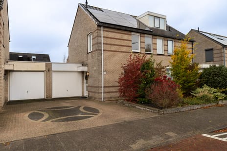 Kamperfoelielaan thumbnail